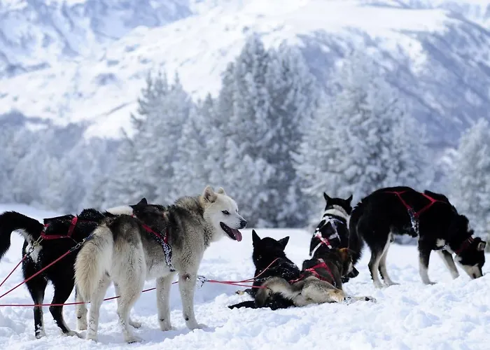 Vvf Villages « Les Pyrenees Ariegoises » Les Cabannes *