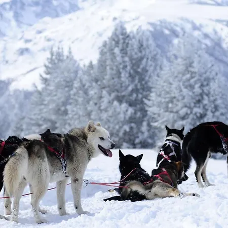 Vvf Villages « Les Pyrenees Ariegoises » Les Cabannes *