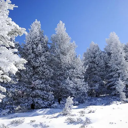Vvf Villages « Les Pyrenees Ariegoises » Les Cabannes